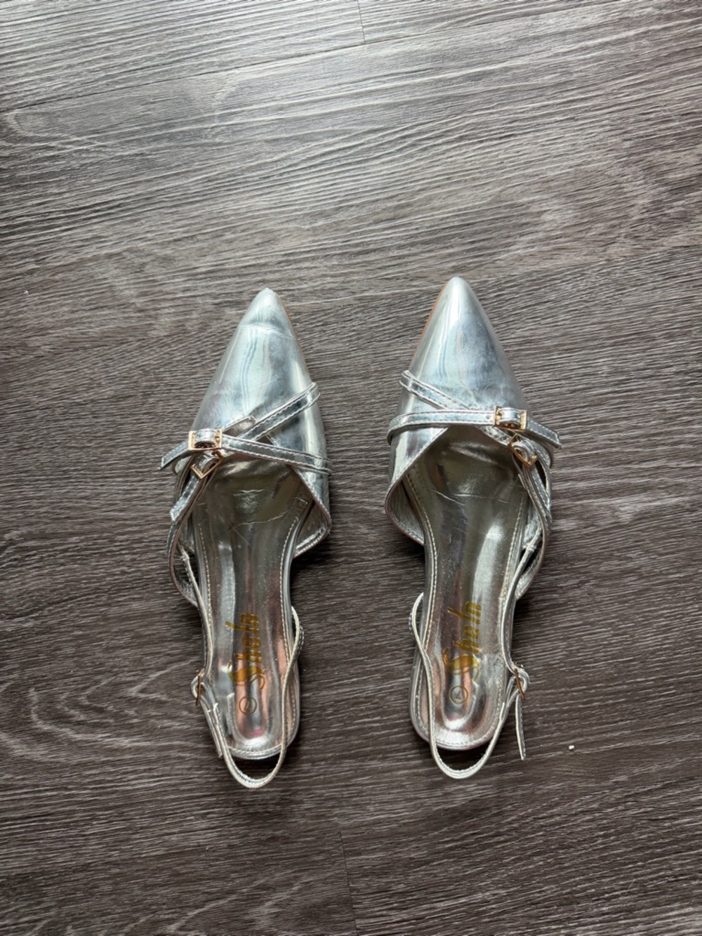 SHEIN Metallic Silver Pointed Slingback Mules